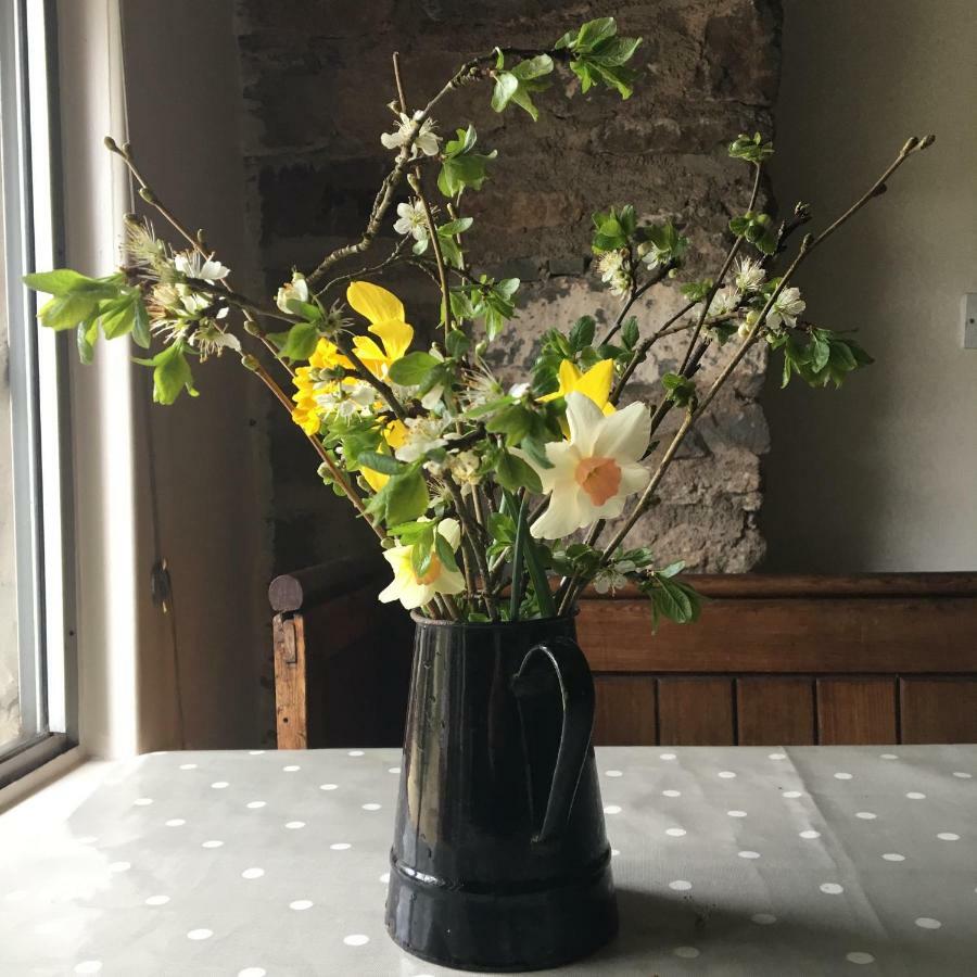 Wookey Fenny Castle Vineyard Cottage מראה חיצוני תמונה