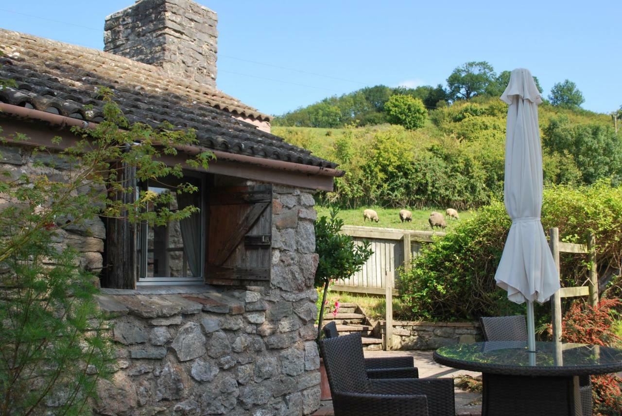 Wookey Fenny Castle Vineyard Cottage מראה חיצוני תמונה