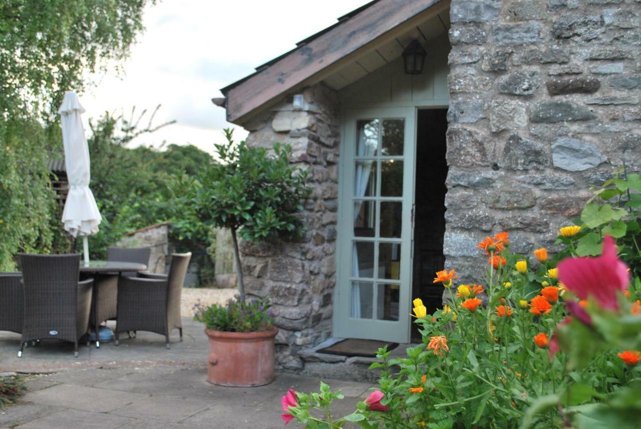 Wookey Fenny Castle Vineyard Cottage מראה חיצוני תמונה