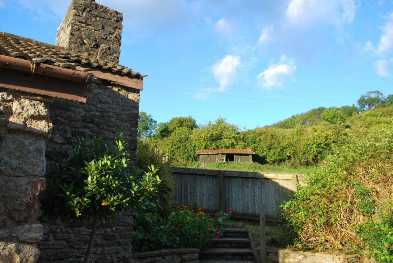 Wookey Fenny Castle Vineyard Cottage מראה חיצוני תמונה