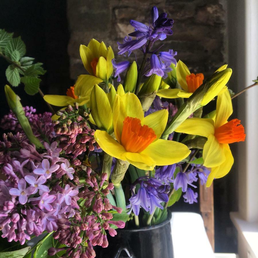 Wookey Fenny Castle Vineyard Cottage מראה חיצוני תמונה