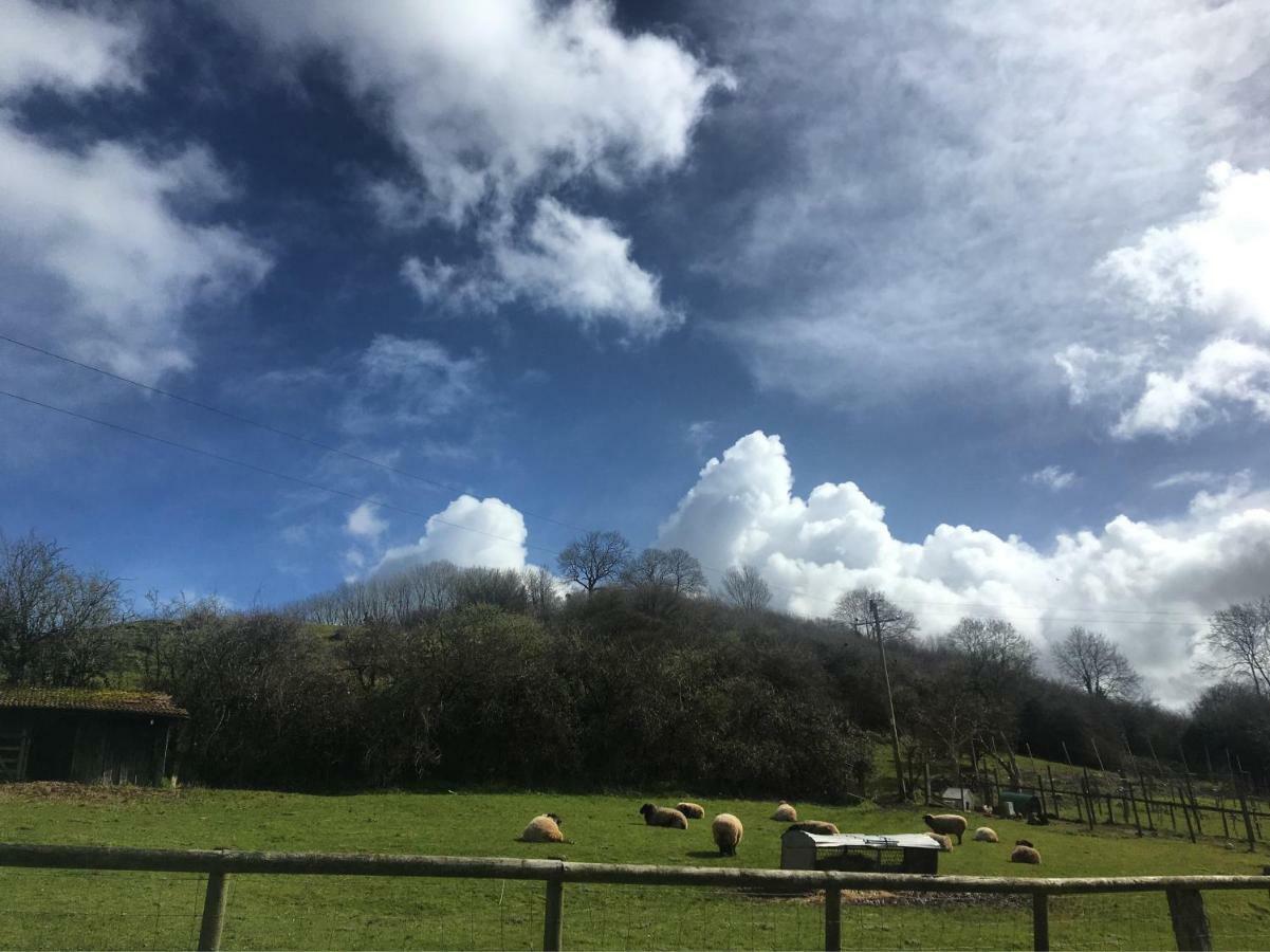 Wookey Fenny Castle Vineyard Cottage מראה חיצוני תמונה