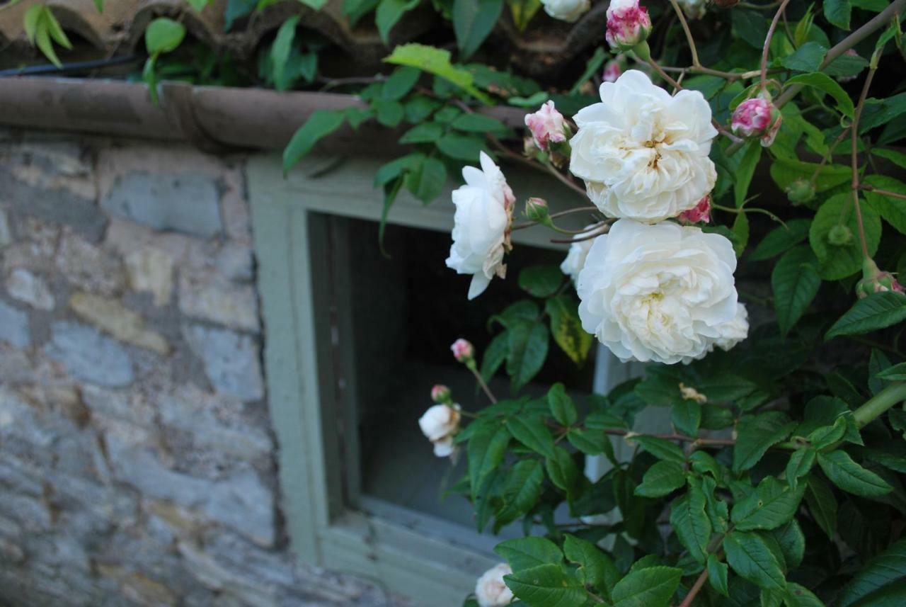 Wookey Fenny Castle Vineyard Cottage מראה חיצוני תמונה