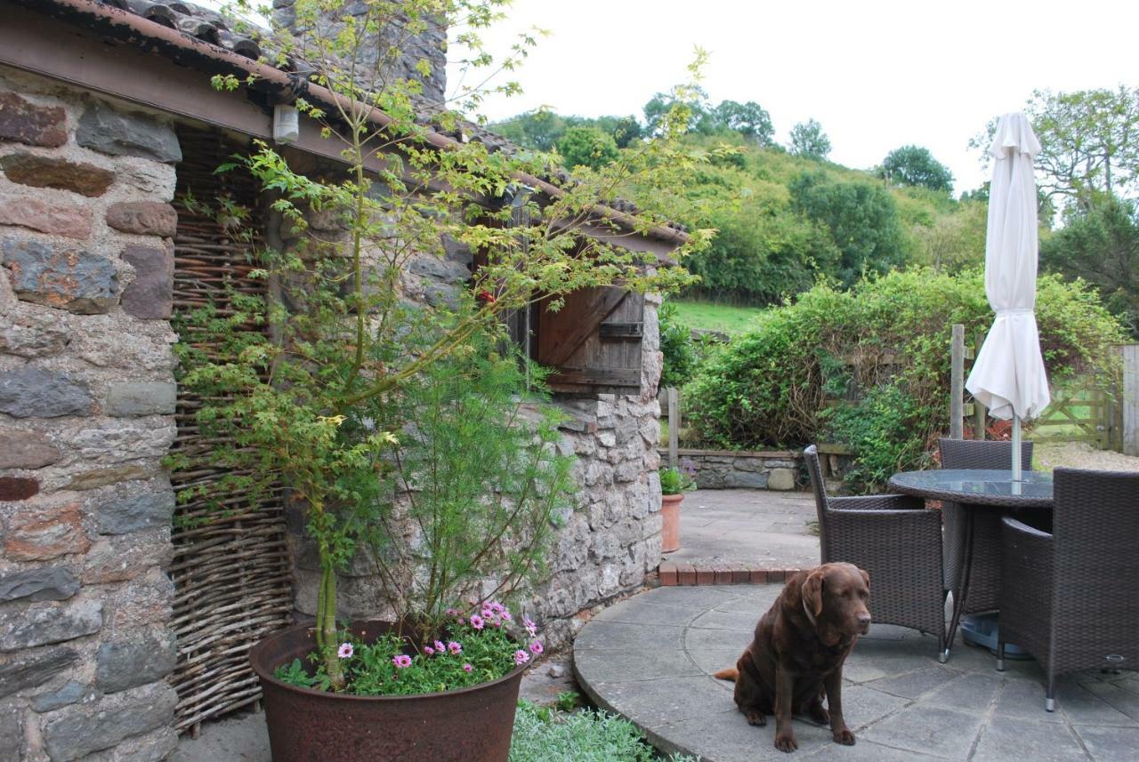 Wookey Fenny Castle Vineyard Cottage מראה חיצוני תמונה